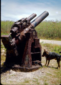 Wilcommen, No. 0115 Dog Meets Anti-Aircraft Cannon